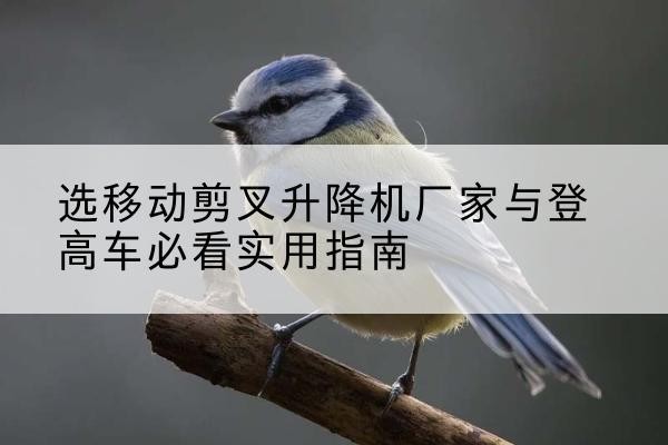馆陶电动升降机厂家-选移动剪叉升降机厂家与登高车必看实用指南