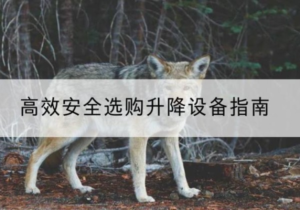 馆陶升降货梯厂家推荐-*安全选购升降设备指南